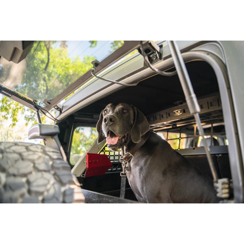 DV8 Offroad 2021-2024 Ford Bronco Dog Barrier Model MPBR-10 - Image 25